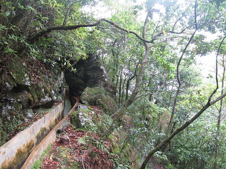 Madeira: Levada do Furado