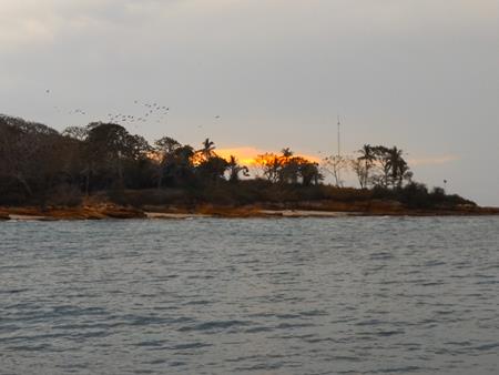 Die Vogelinsel Isla Pecheca