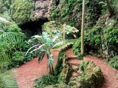 Jardin Antonio Borges: urige-Wege