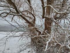 Winterwunderland