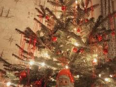 Unser erster-echter-Weihnachtsbaum-seit-10-Jahren