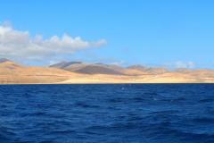 Fuerteventura – Ein anstrengender Ankerplatz