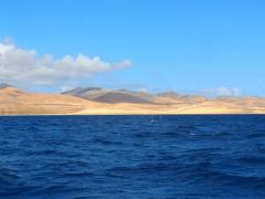 Entlang der-Küste-Fuerteventuras