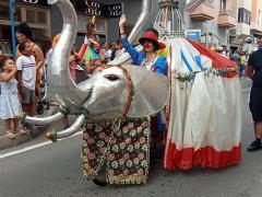 Elefanten Clown-im-Umzug