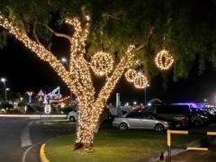 Adventliches-Gran-Tarajal - Baumschmuck