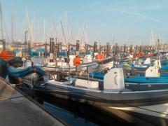 Kieler-Woche: Regattabegleitboote