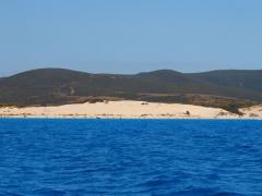 Düne-in-der-Bucht-von-Golfo-di Palmas