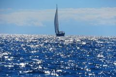 Kanarische Inseln – Ein herrlicher Segeltag