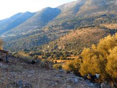 Trockene-Landschaft-auf-Kefalonia