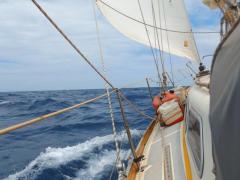 Abfahrt von Dili: Nach einer Ewigkeit wieder Segeln