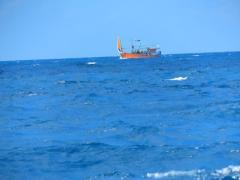 Ein segelnder Fischer