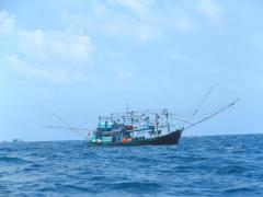 Fischerflotten die aussehen wie Wäscheständer