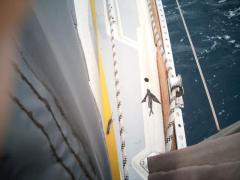 Getrocknete fliegende Fische an Deck