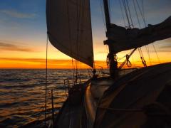 Segeln in den Sonnenuntergang
