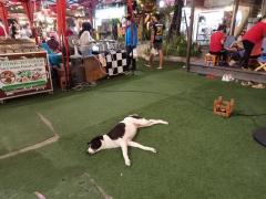 Chillva Nachtmarkt: relaxen ist angesagt