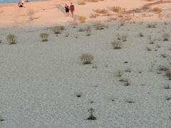 Lefkas-Strandbesuch