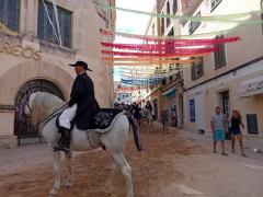 Hübsches Pferd und eleganter Reiter