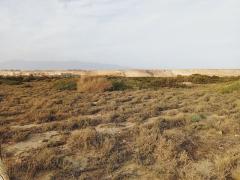Naturpark Punta-Entinas-Sabinar-Westernatmosphaere