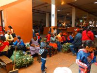 Cuenca: Traditionelle Kräuterheilung
