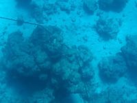 Grobe Korallenblöcke halten unsere Ankerkette fest