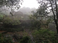 Madeira: Levada do FuradoHeimstätte der Waldgeister