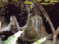 Grotte: Bizarre Tropfsteinfiguren