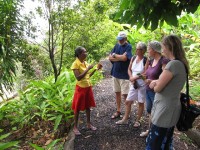 De La Grenade: Verzaubert durch die Gerüche und Geschmäcker im Kräutergarten