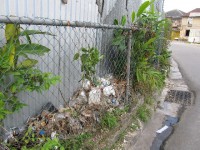 Plastik und anderer Müll wird überall in ungenutzte Ecken entsorgt