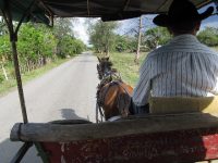 Pferdefuhrwerk als tägliches Transportmittel