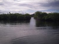 Künstliche Dingi- Durchfahrt zwischen den Mangroven